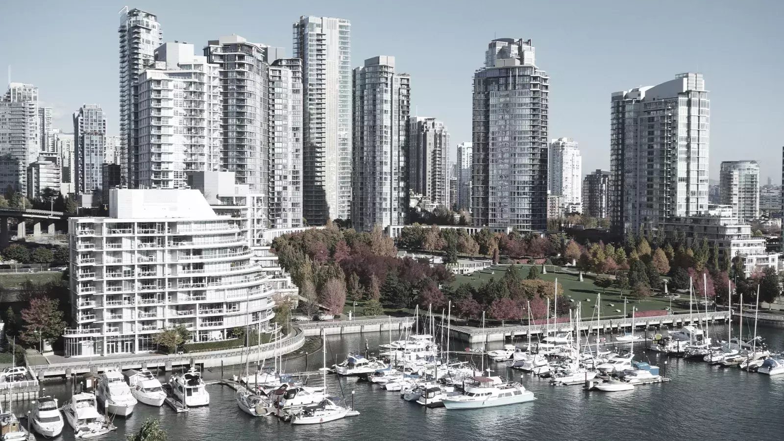 Pre-sale & Strata Councils: What You Need to Know